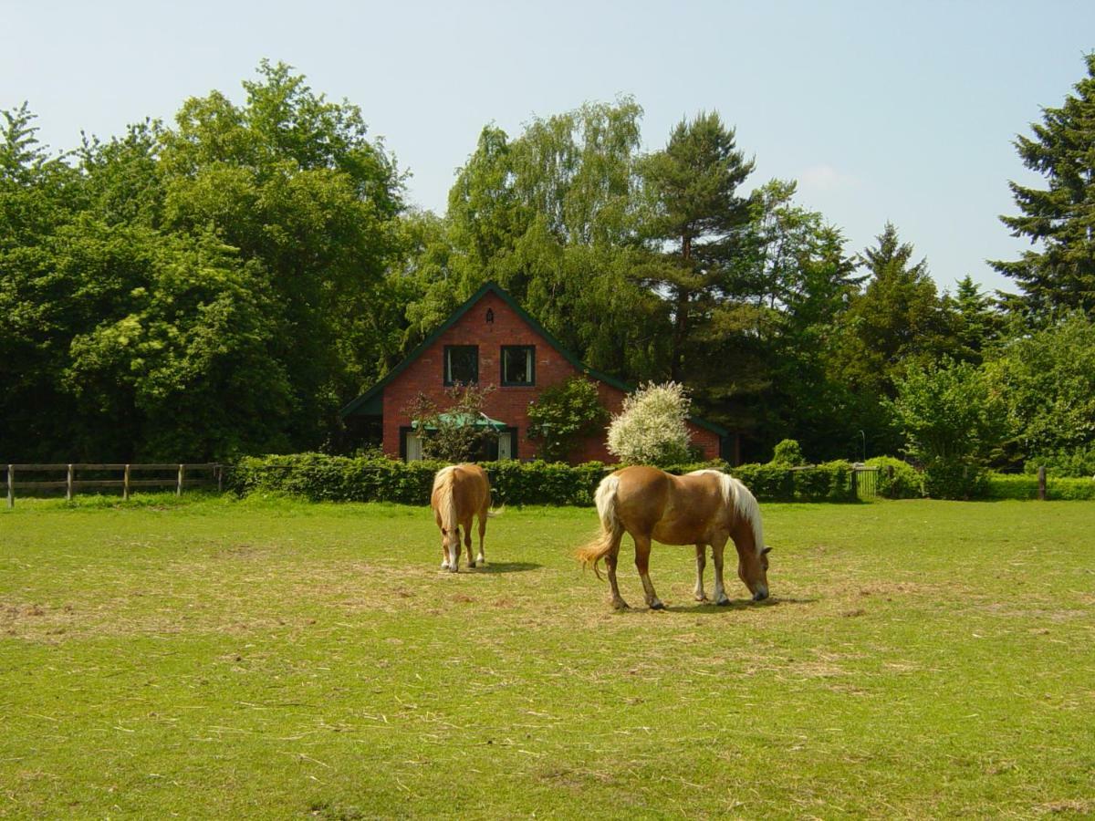 Bernard Meyborg Ferienhaus Lindern